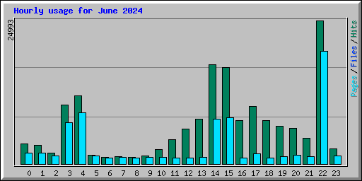 Hourly usage for June 2024