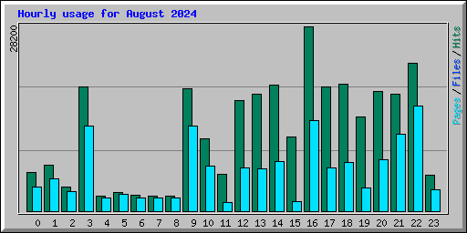Hourly usage for August 2024