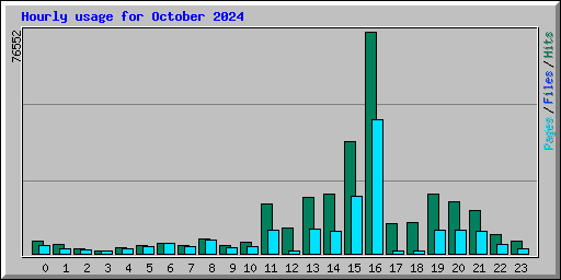 Hourly usage for October 2024