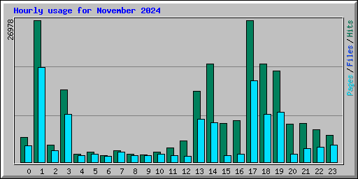 Hourly usage for November 2024