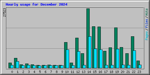 Hourly usage for December 2024