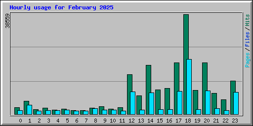 Hourly usage for February 2025